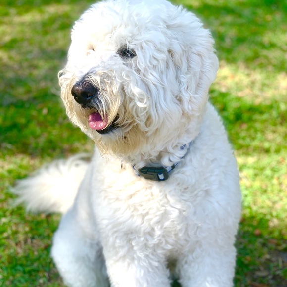 Meet The Vice President π - Picture 11 of 17